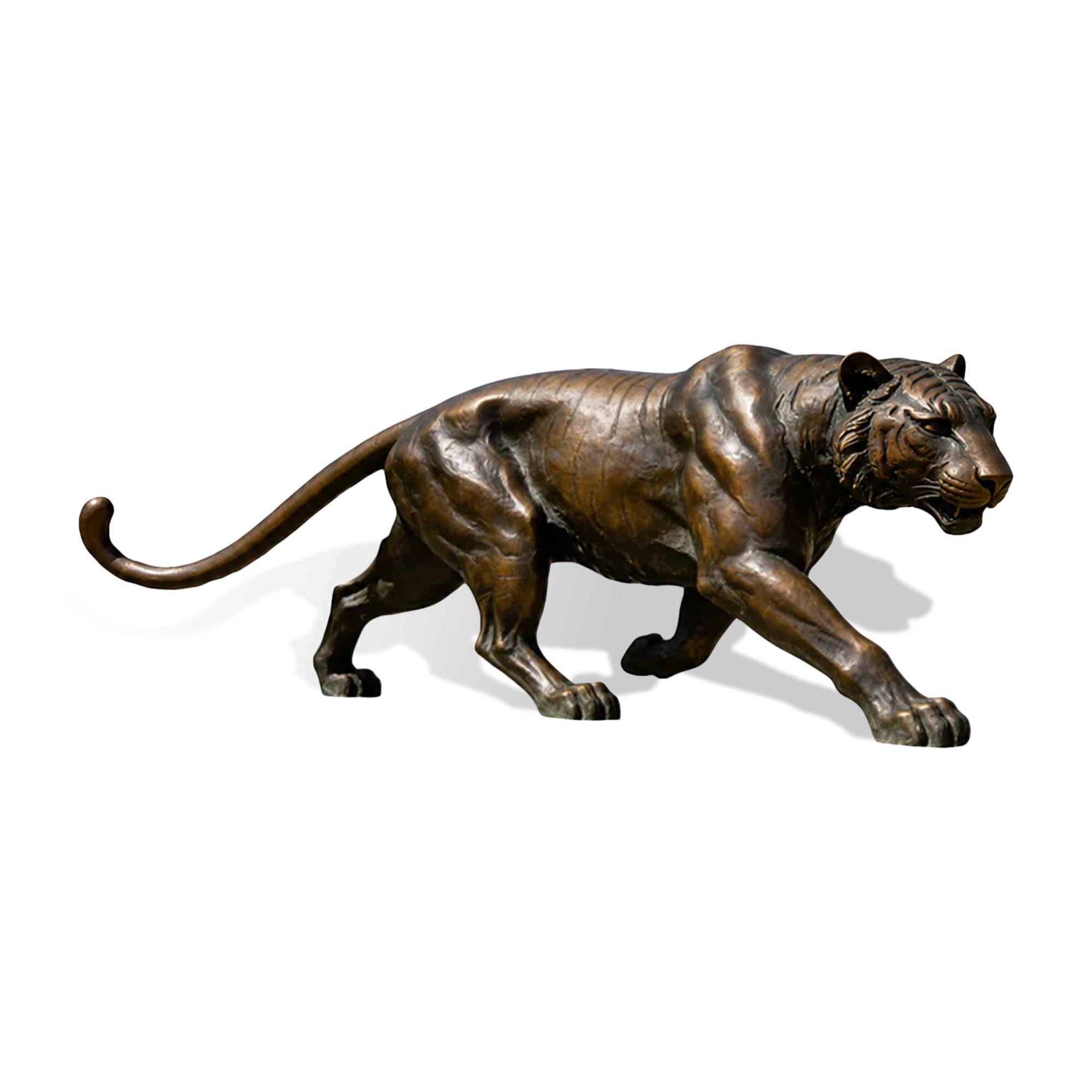 Bronze tiger sculpture in a realistic walking pose on a white background