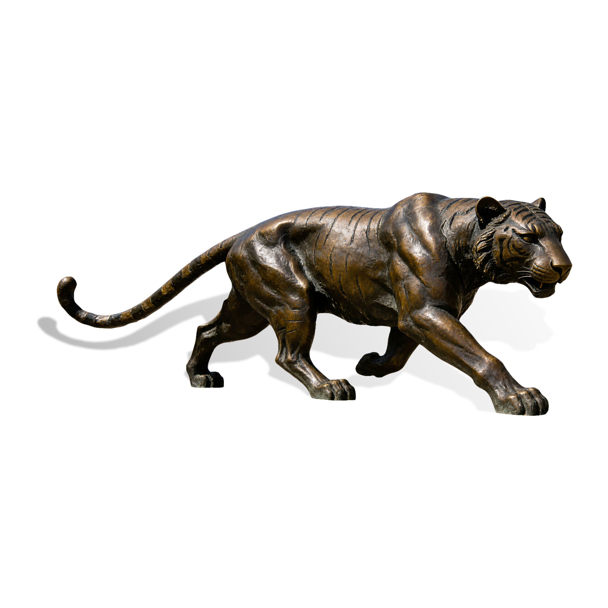 Bronze statue of a tiger on a white background