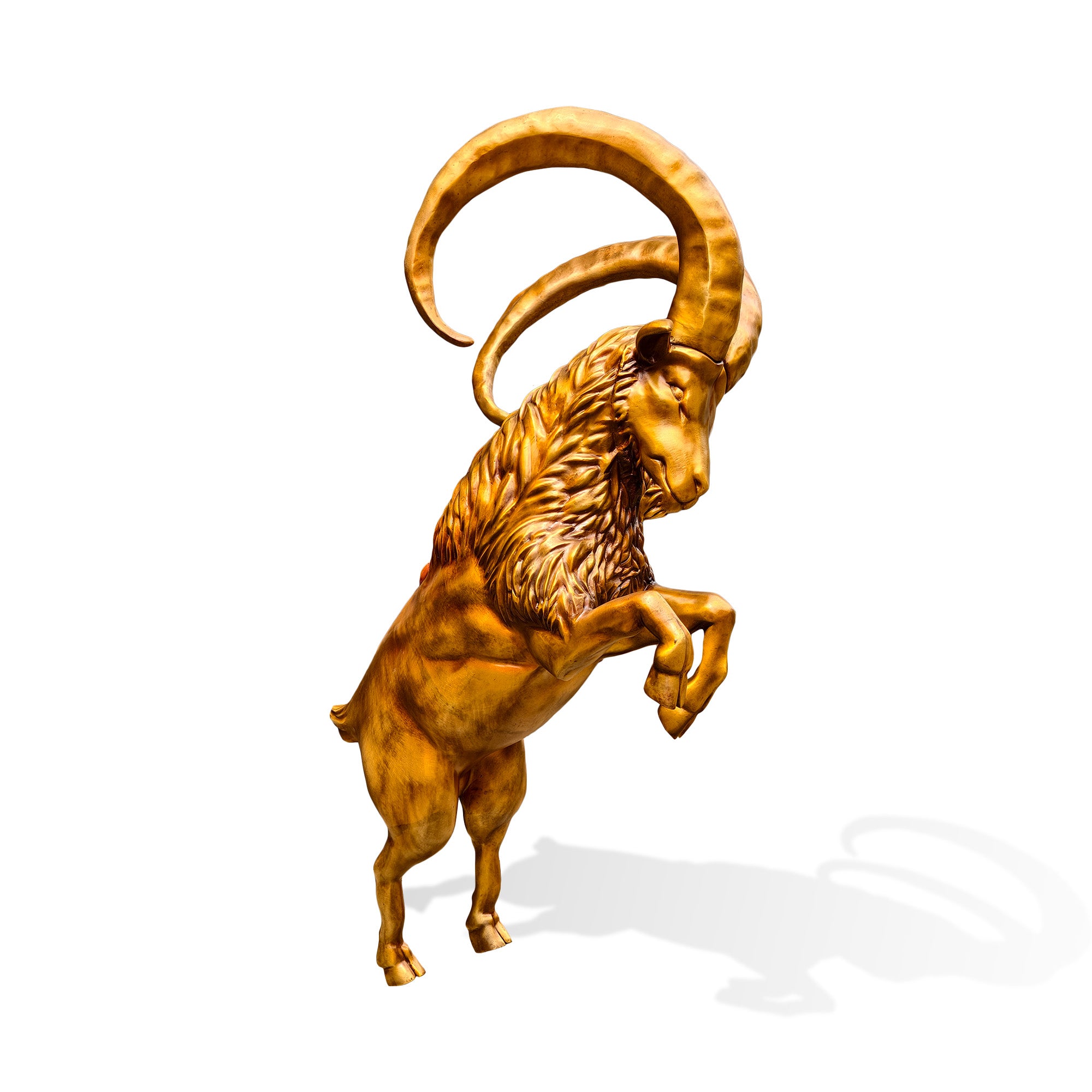 Front three-quarter view of a golden bronze ibex sculpture standing upright with raised front legs, curved horns, detailed facial features, and textured neck hair.