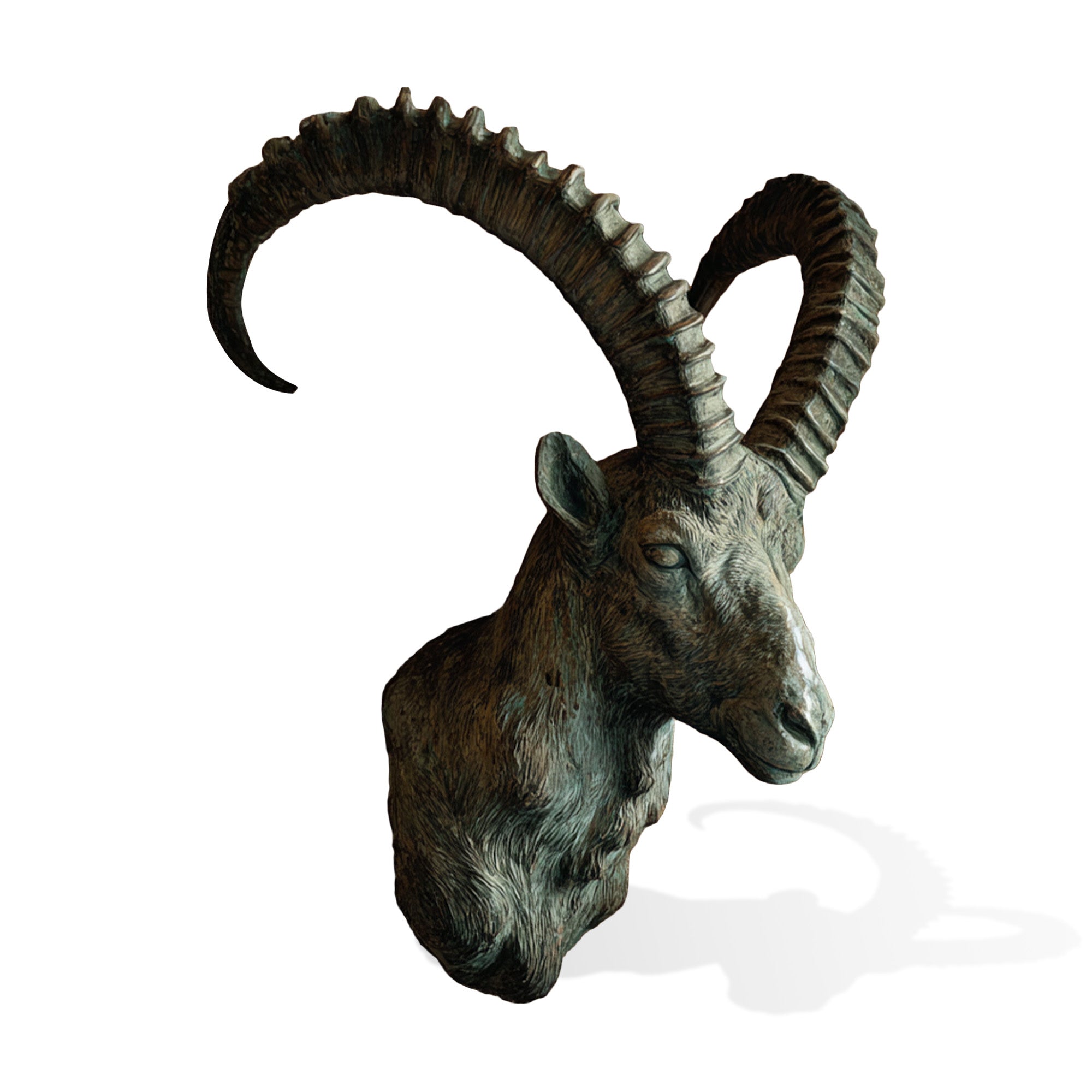 A bronze wall mounted goat sculpture with large curved horns, textured facial details, realistic fur patterns, and a dark aged patina