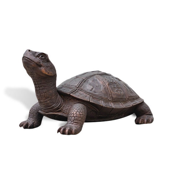 Realistic dark antique bronze turtle statue shown from the front side with an extended neck, detailed shell and sculpted legs