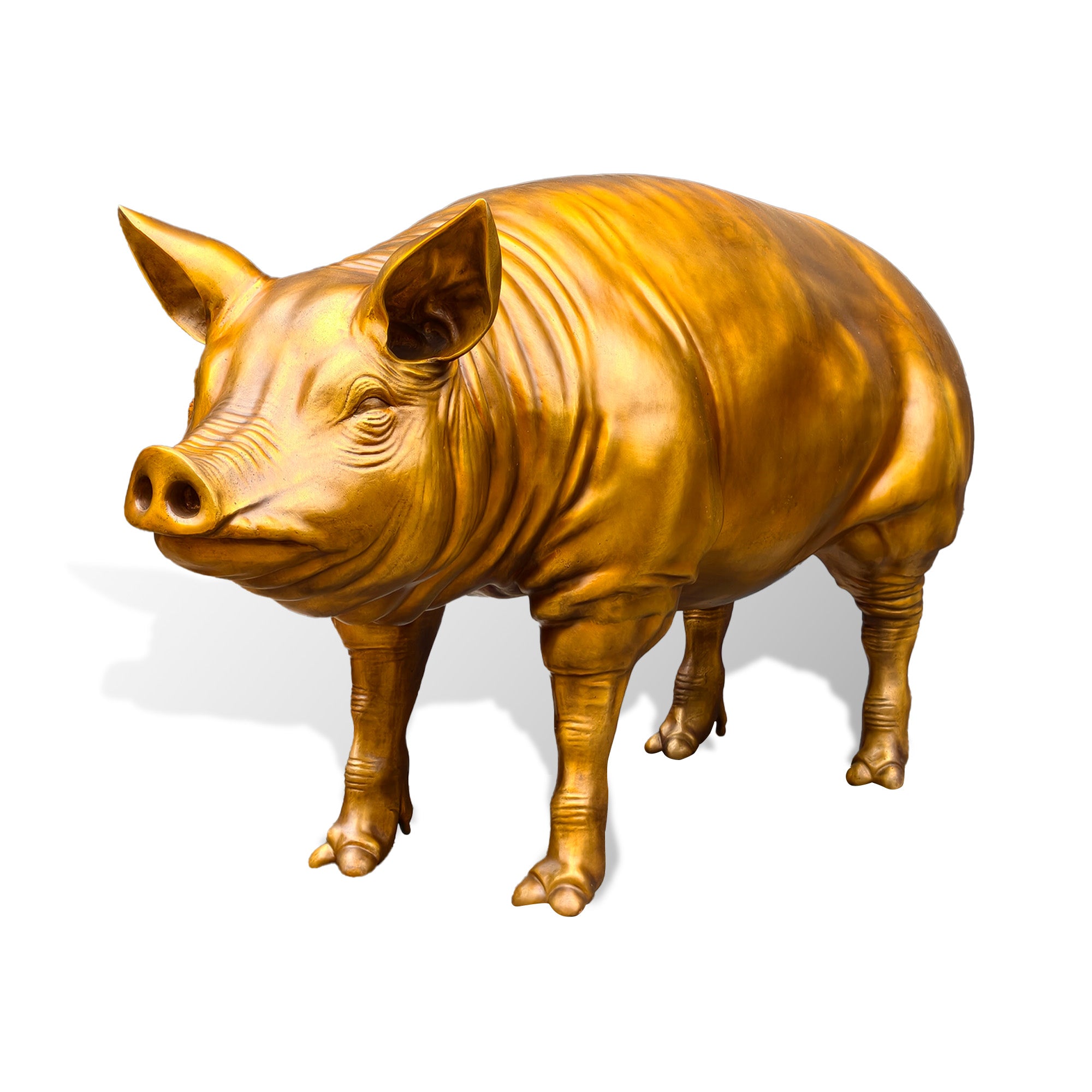 Realistic golden bronze boar animal sculpture with polished surface, detailed wrinkles, strong body shape, and elegant handcrafted decorative statue design.