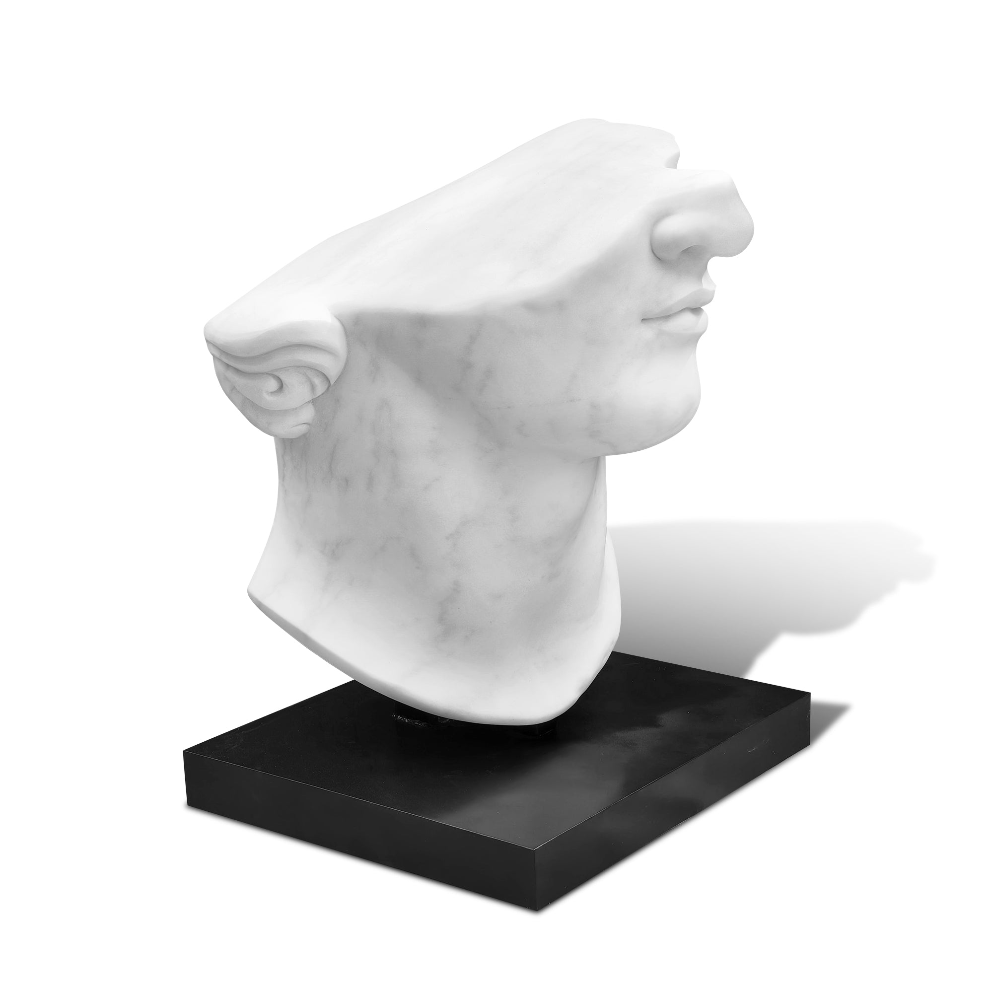 Marble sculpture of a classical bust on a black base against a white background