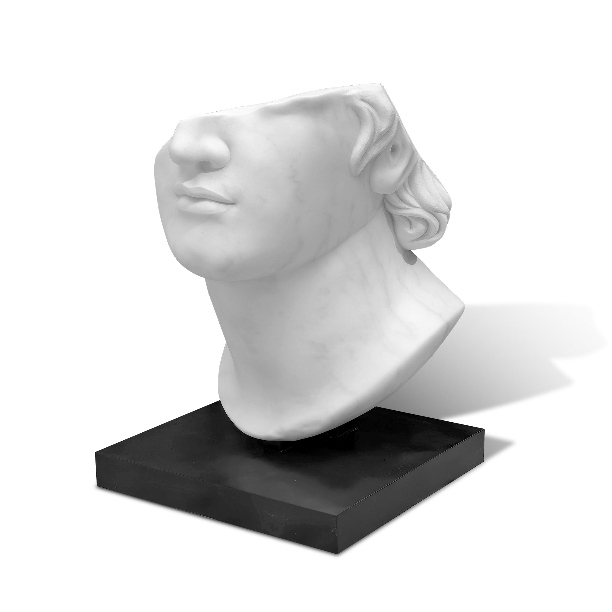 Marble bust of a classical figure on a black base against a white background