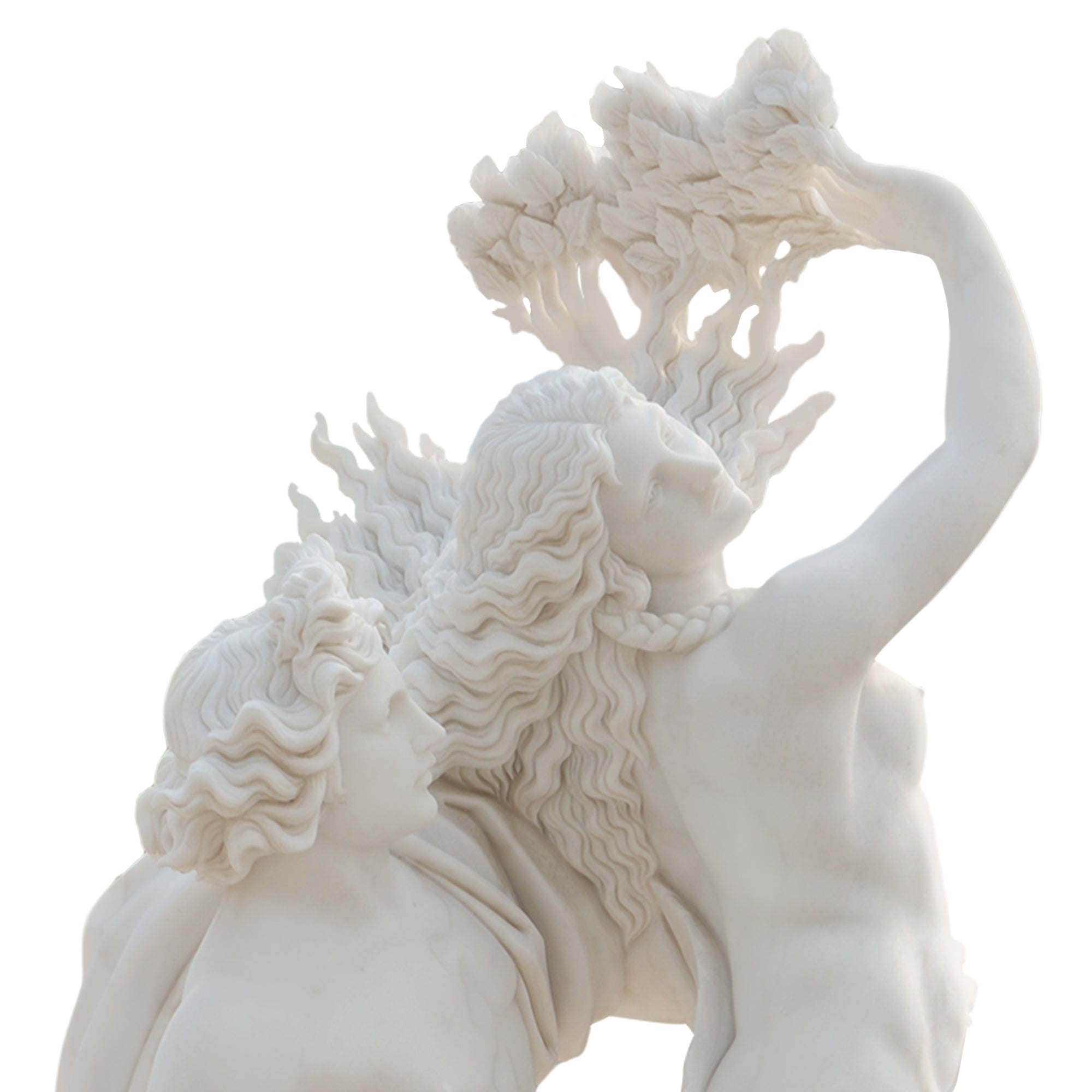 Close-up of Daphne and Apollo replica sculpture in marble, highlighting flowing hair and transformation into tree branches.