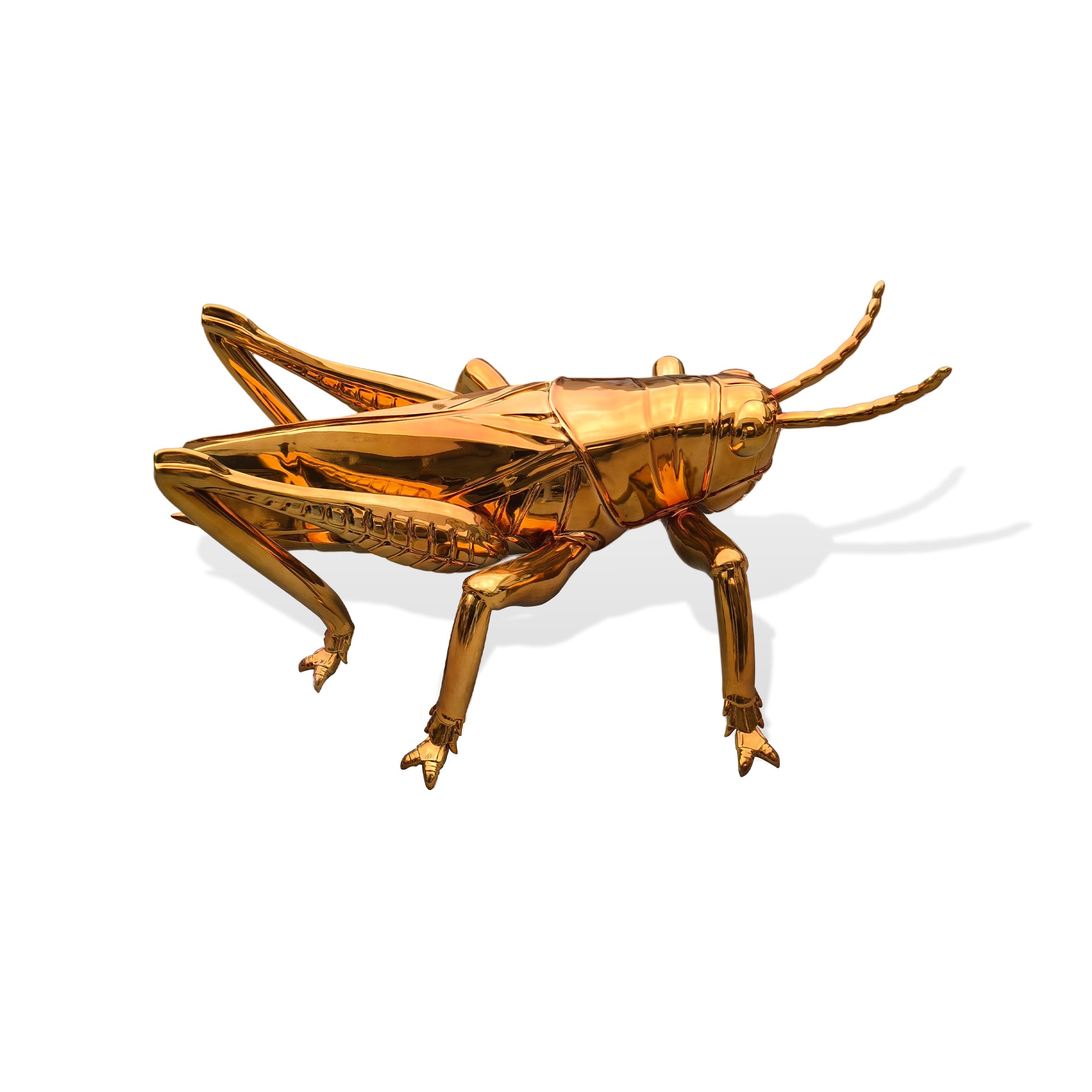 Gold-colored grasshopper sculpture on a white background