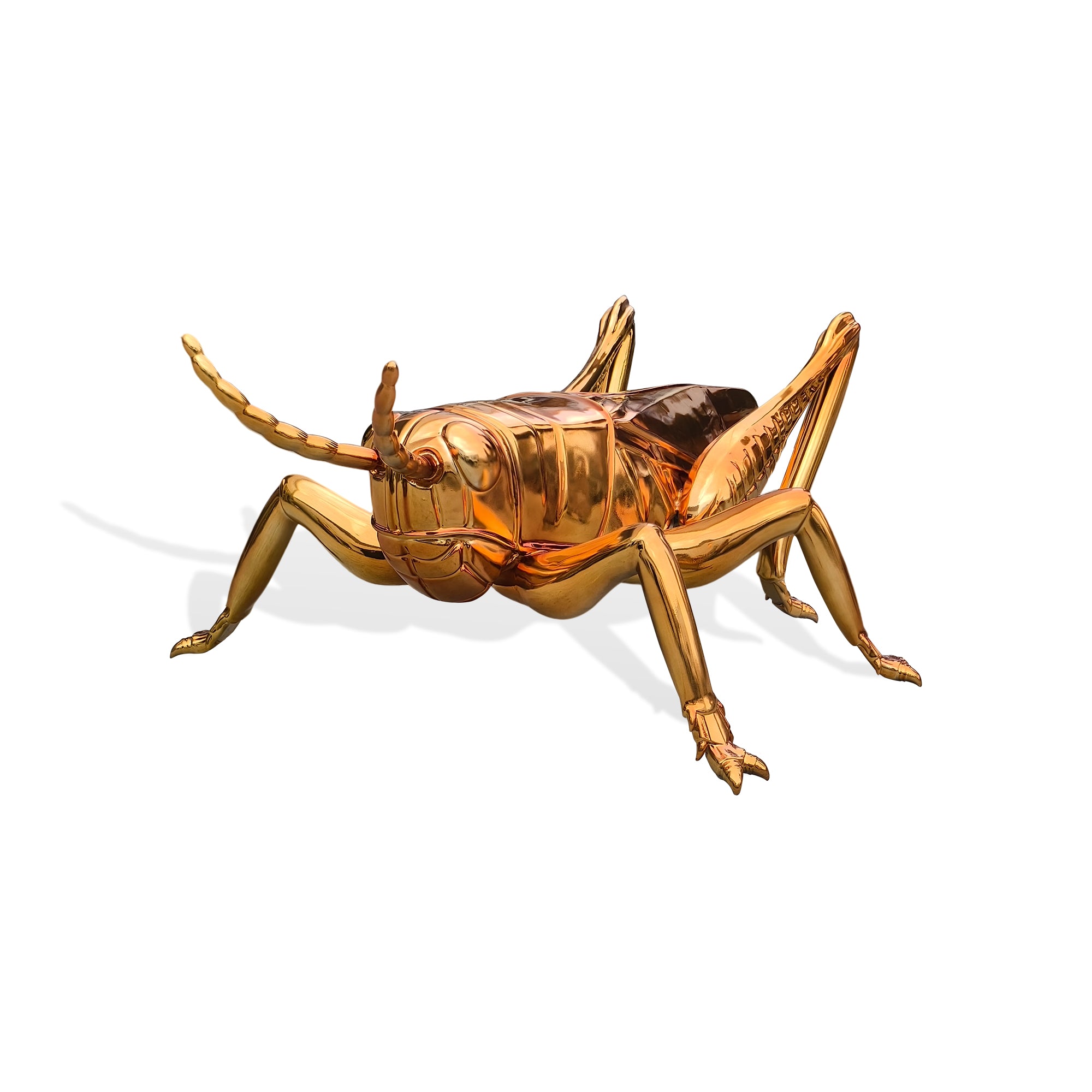 Gold insect-shaped object on a white background