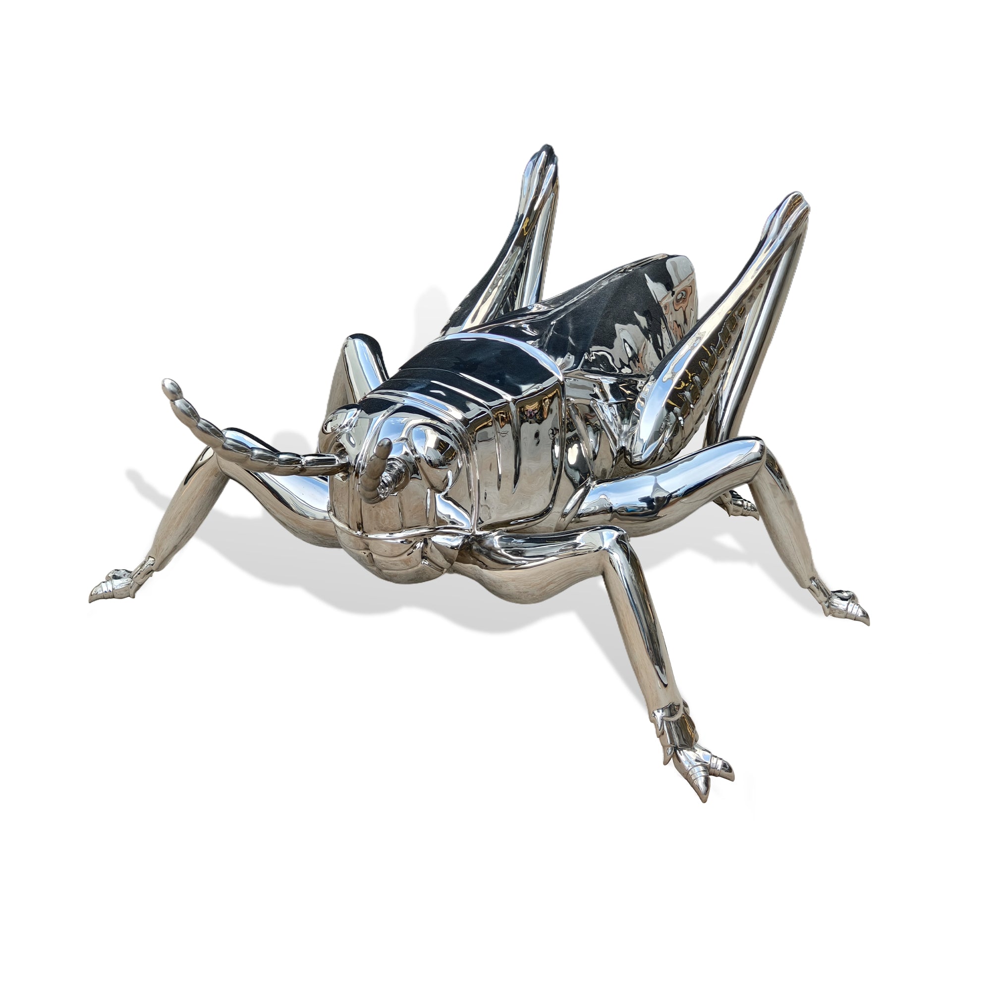 Chrome insect-shaped object on a white background