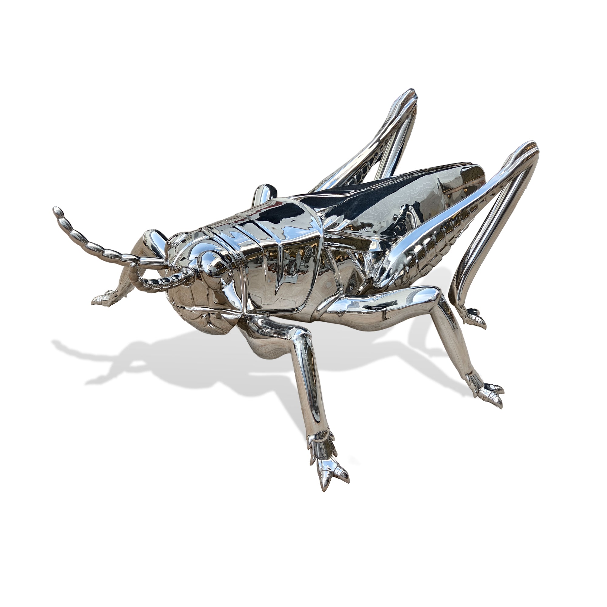 Chrome insect sculpture on a white background