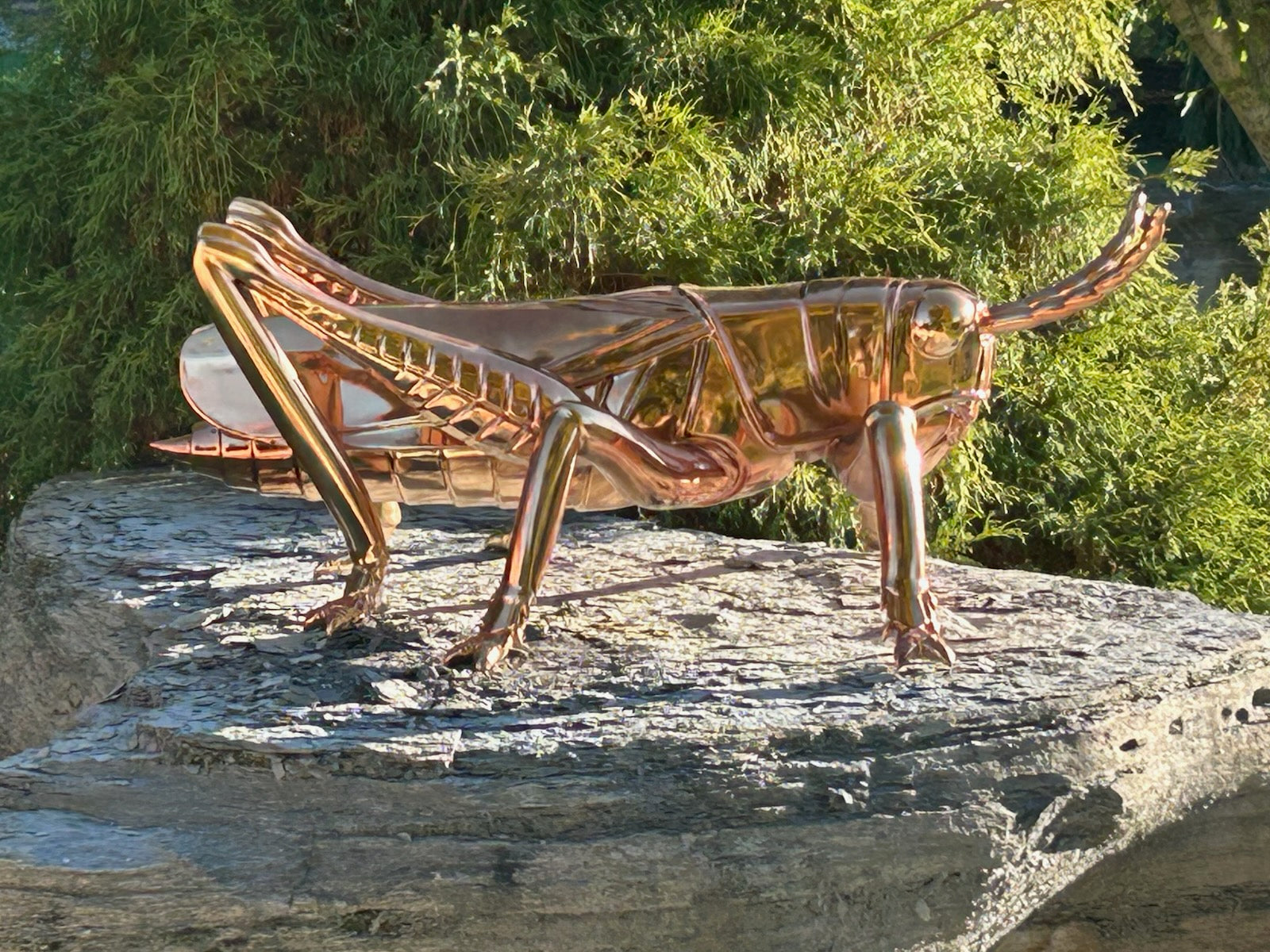 modern outdoor gold stainless steel grasshopper sculpture, displayed on a textured rock surface with vibrant green foliage in the background, reflecting light with its electroplated gold finish