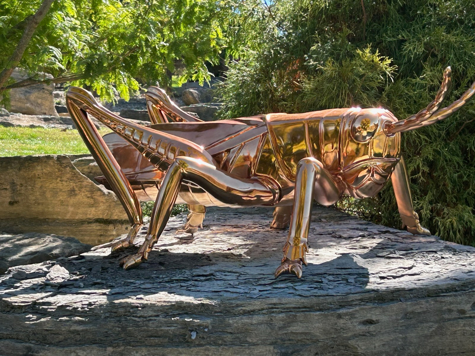 modern outdoor gold stainless steel grasshopper sculpture, showcasing its realistic form and shiny gold surface, placed amidst lush greenery in a landscaped garden