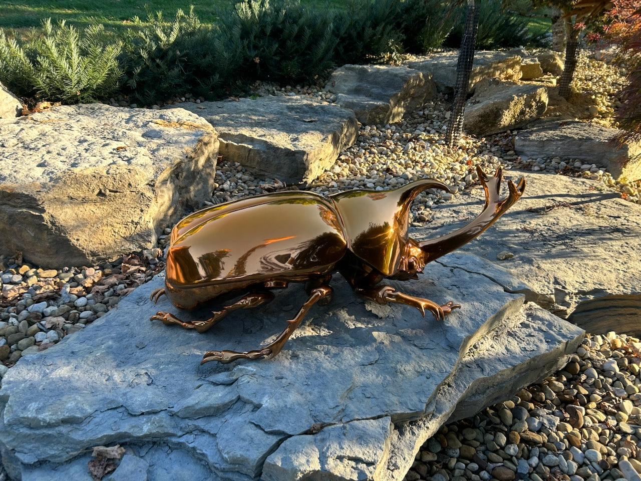 custom stainless steel beetle sculpture with a high-gloss brass mirror finish, designed for outdoor gardens and landscapes, reflecting natural light and adding a modern artistic touch to the environment.