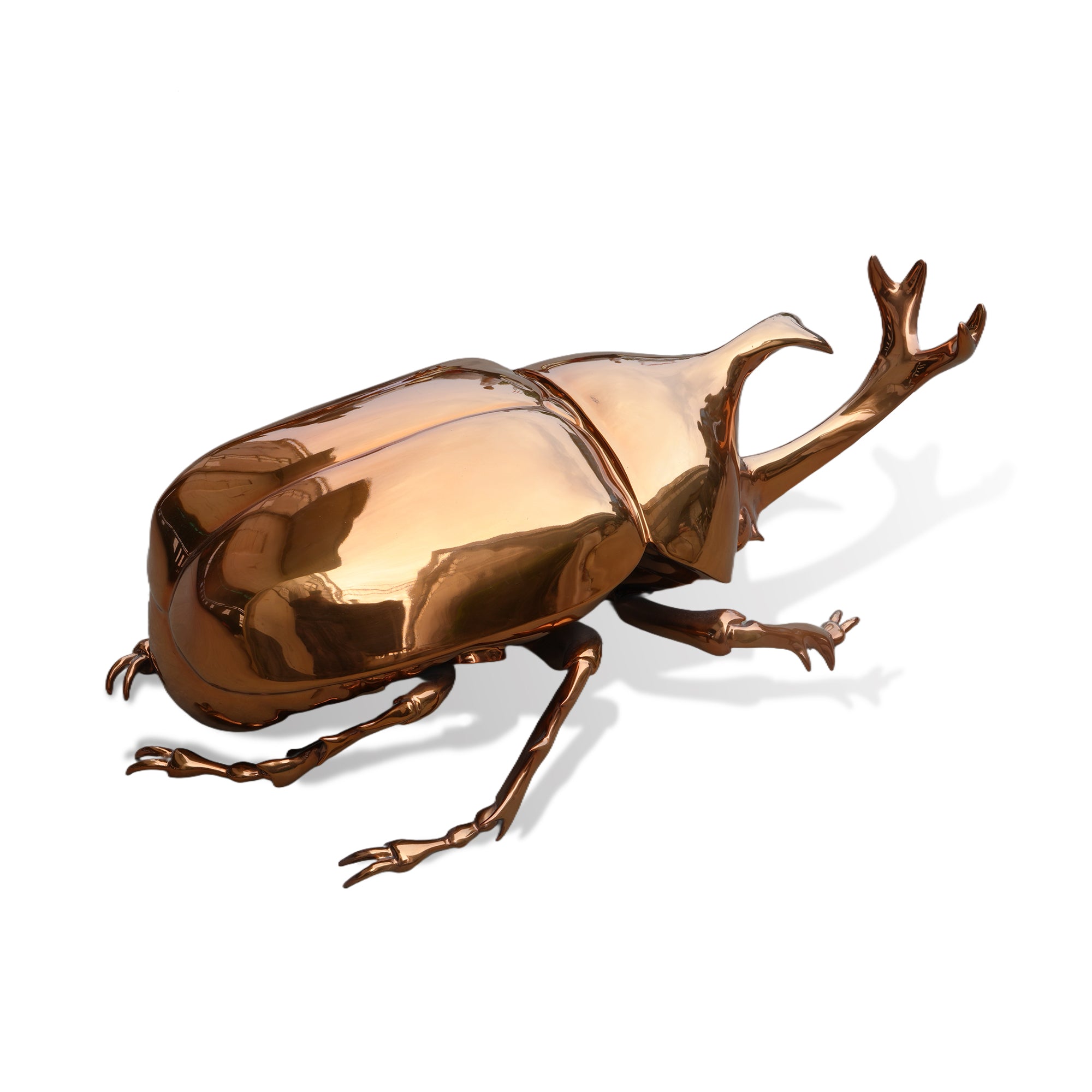 Bronze beetle sculpture on a white background