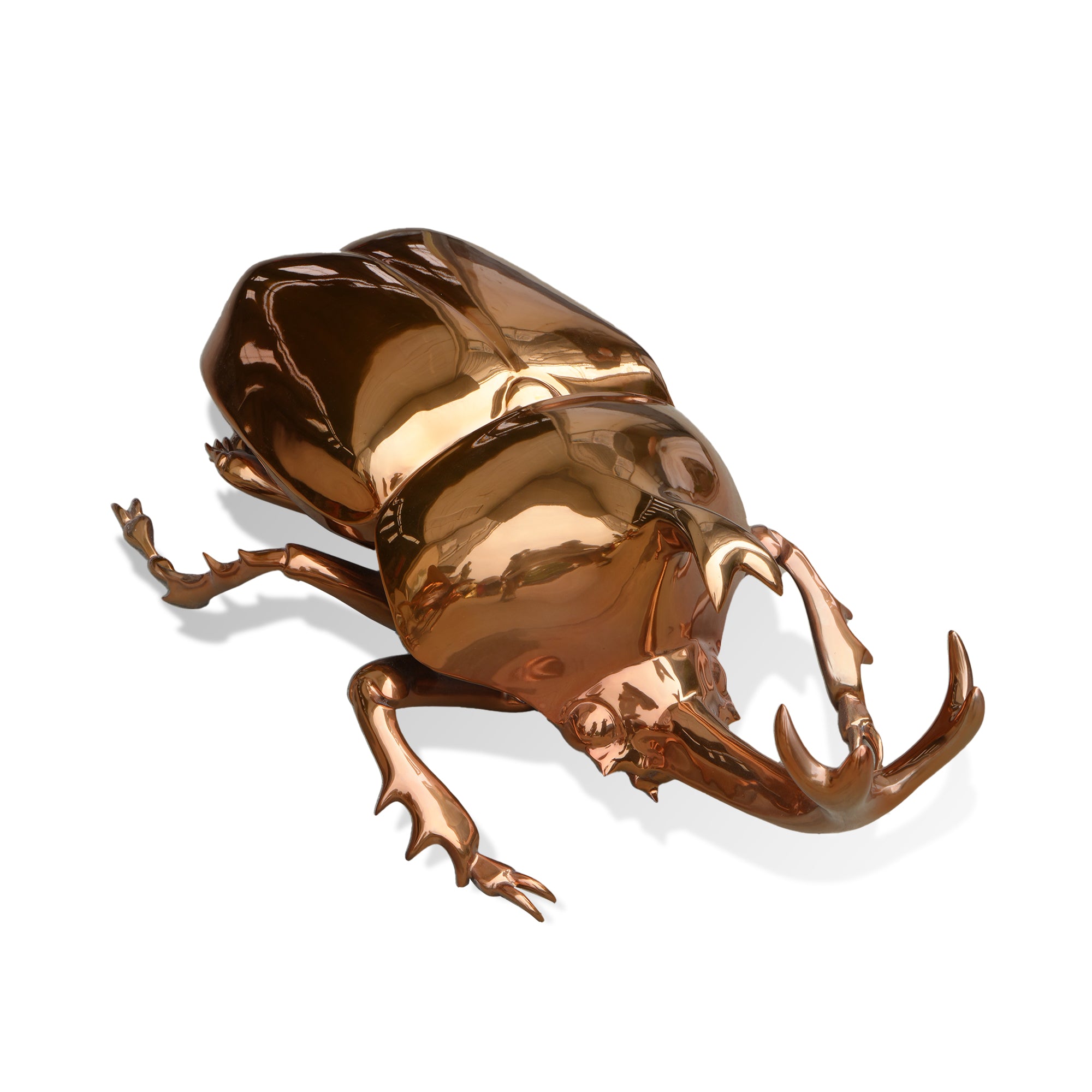 Bronze-colored beetle sculpture on a white background