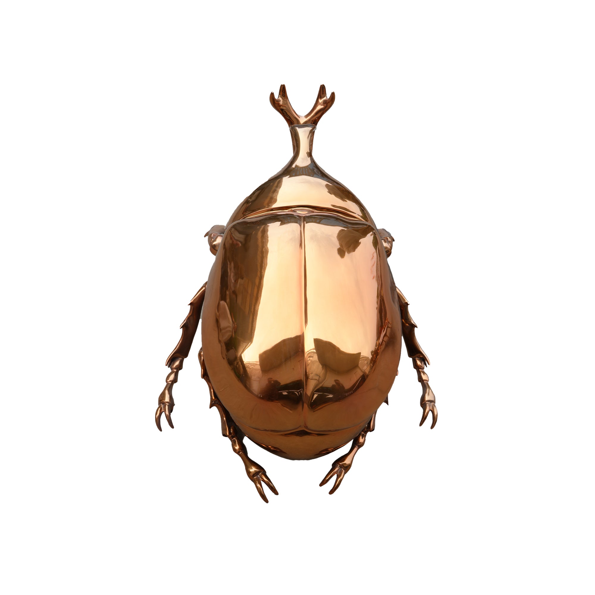 Bronze beetle sculpture on a white background