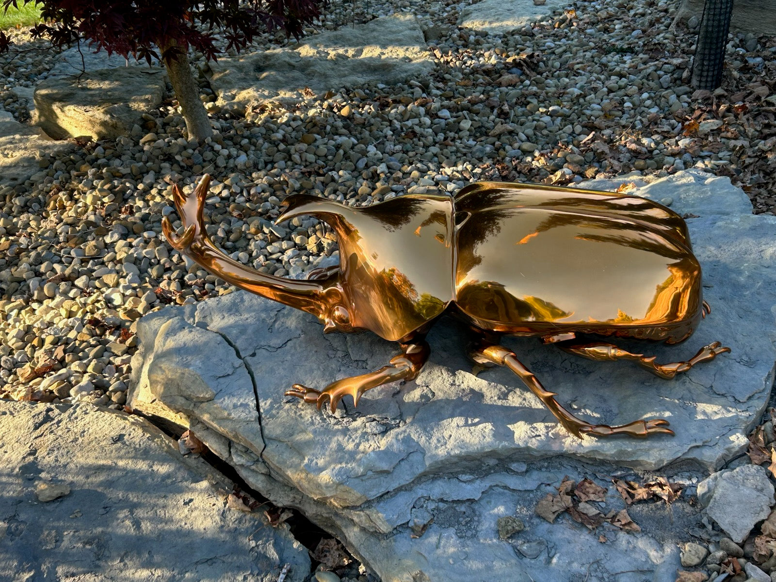 custom stainless steel beetle sculpture in brass mirror finish, positioned on a rocky surface in a garden setting, reflecting the surrounding greenery and providing a contemporary outdoor art piece