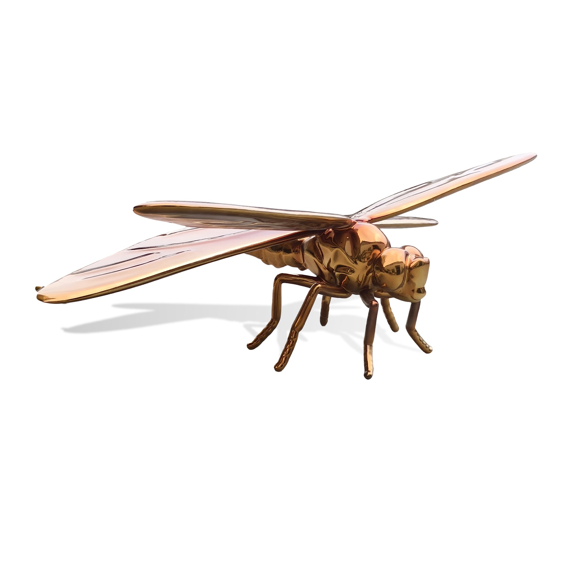 Bronze dragonfly sculpture on a white background