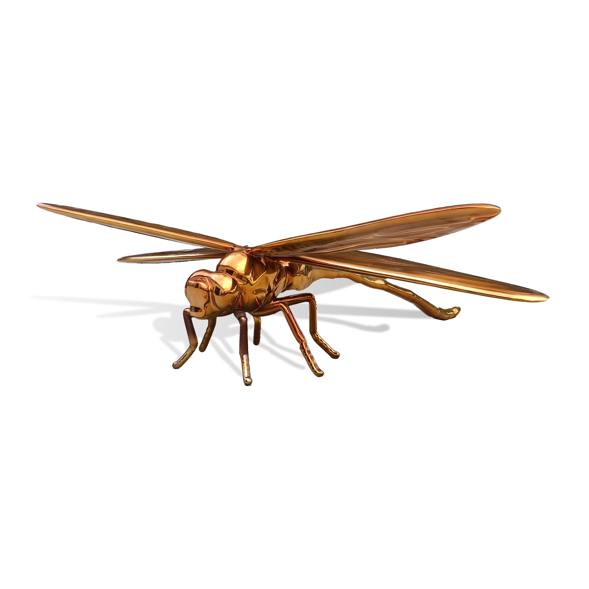 Bronze dragonfly sculpture on a white background
