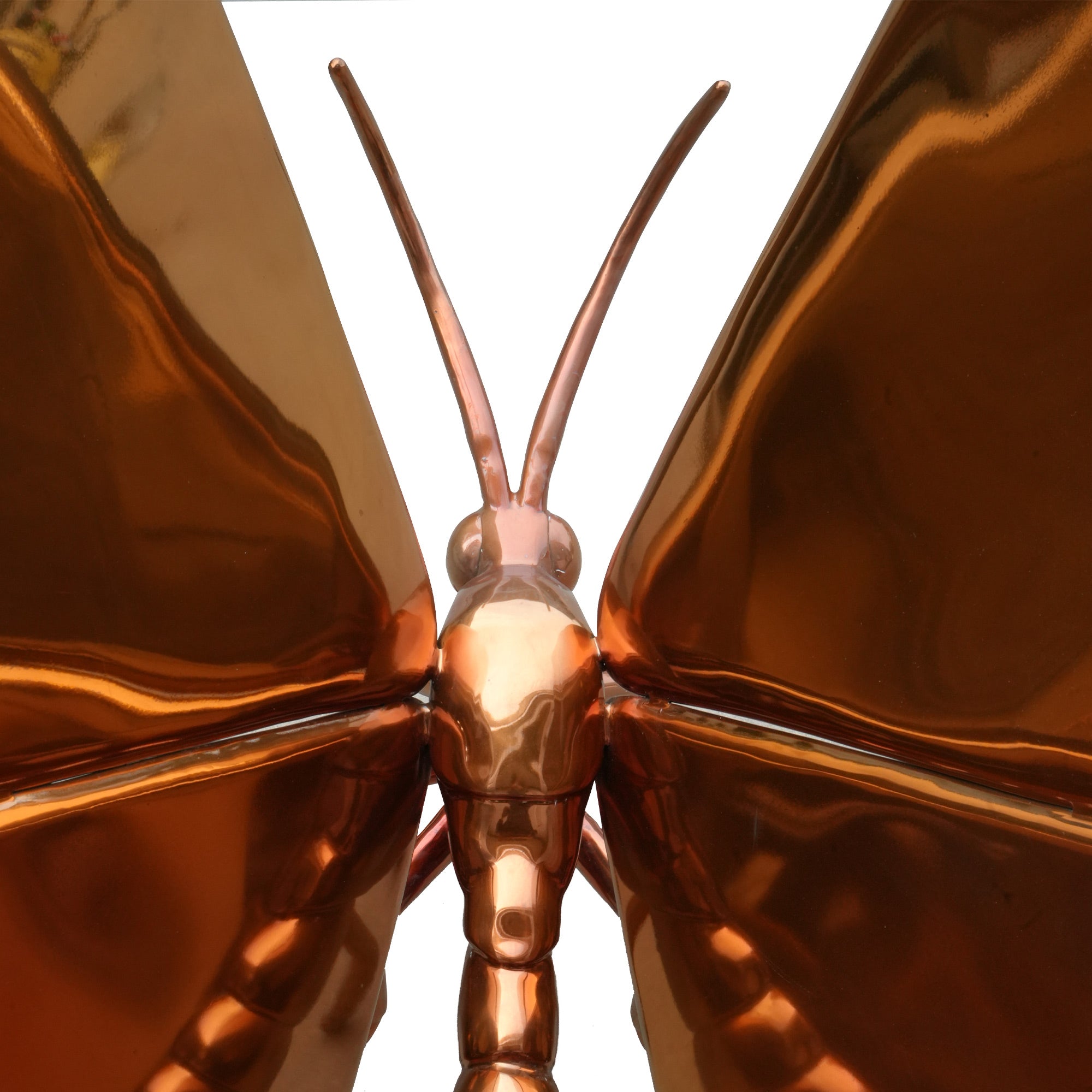 Modern Stainless Steel Butterfly Sculpture