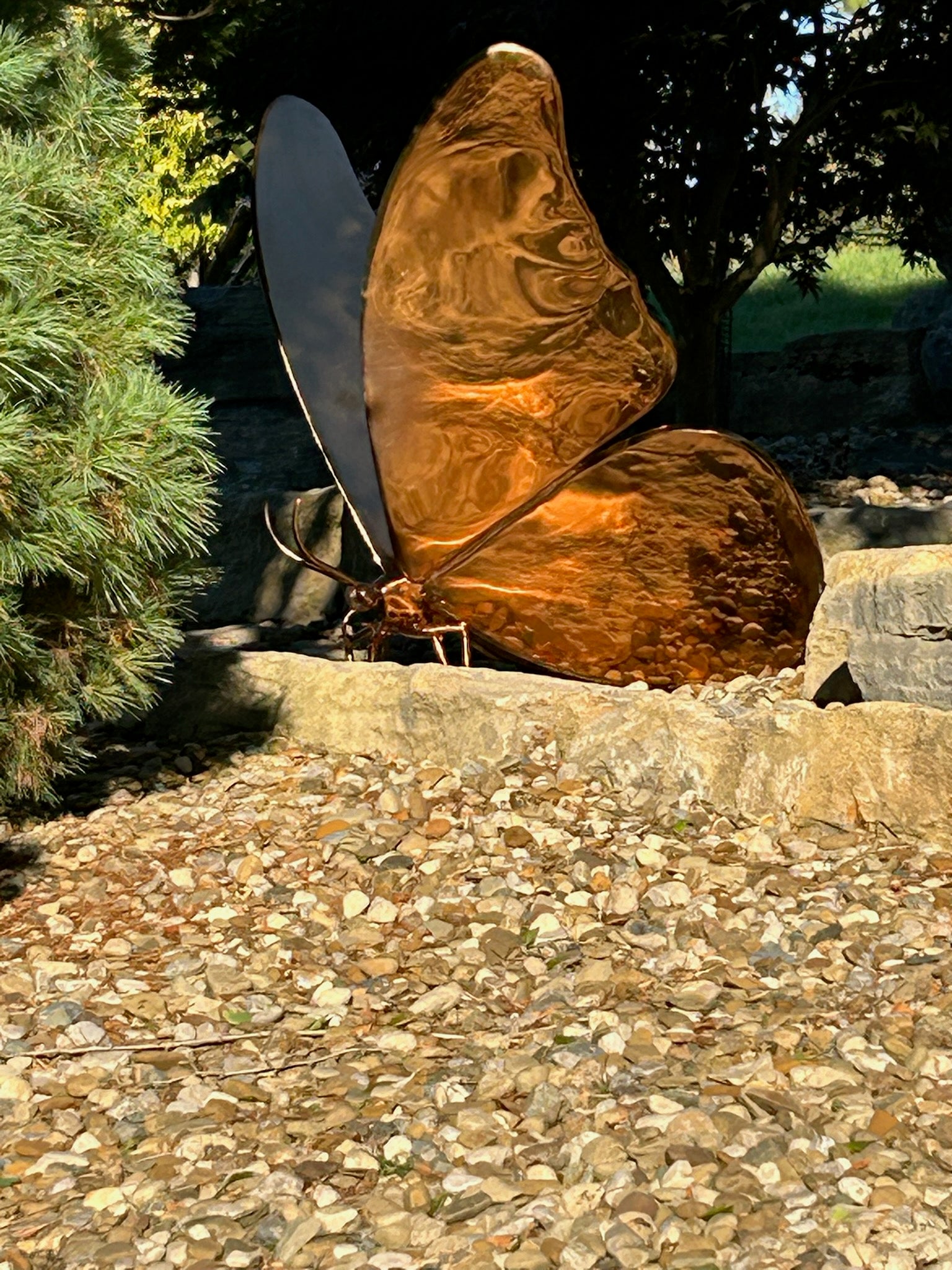 Stainless steel butterfly sculpture featuring a brass electroplated mirror finish, commissioned for Schnormeier Gardens in Gambier, Ohio, reflecting surrounding landscape and natural light