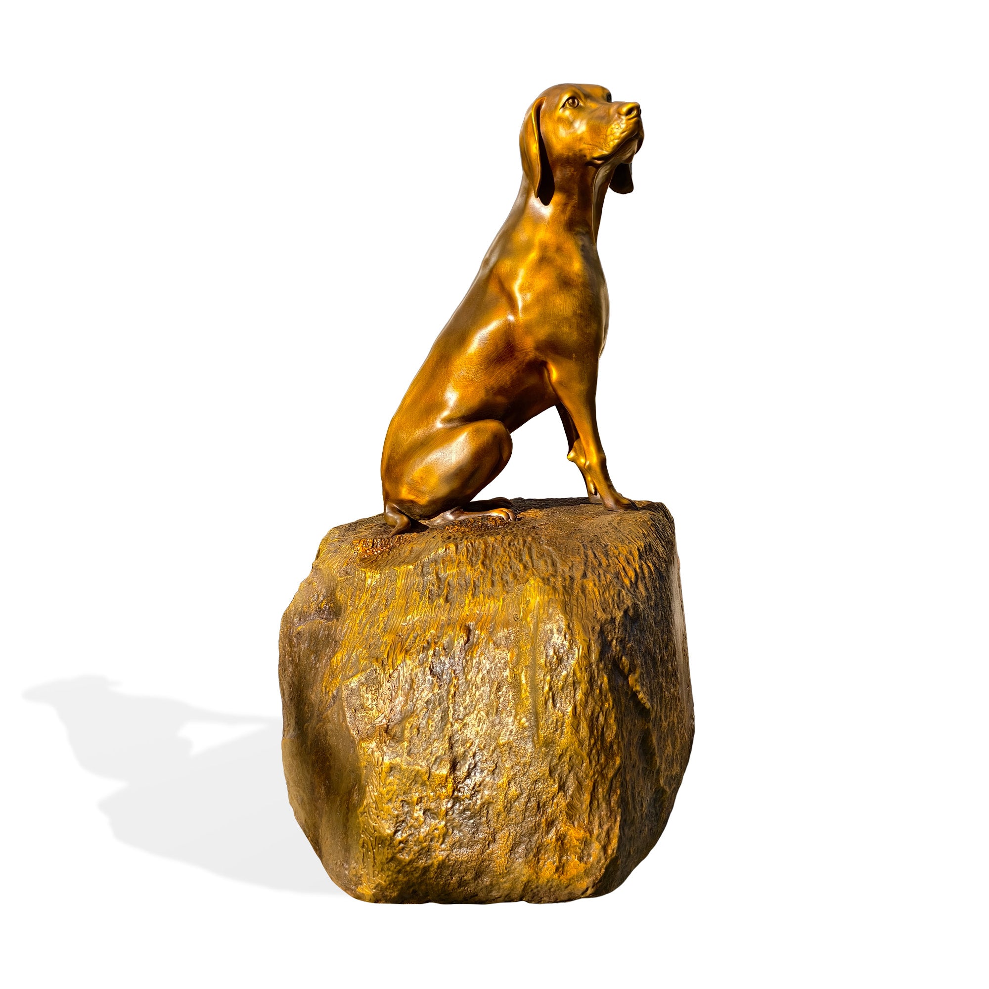 Bronze statue of a dog on a rock with a white background
