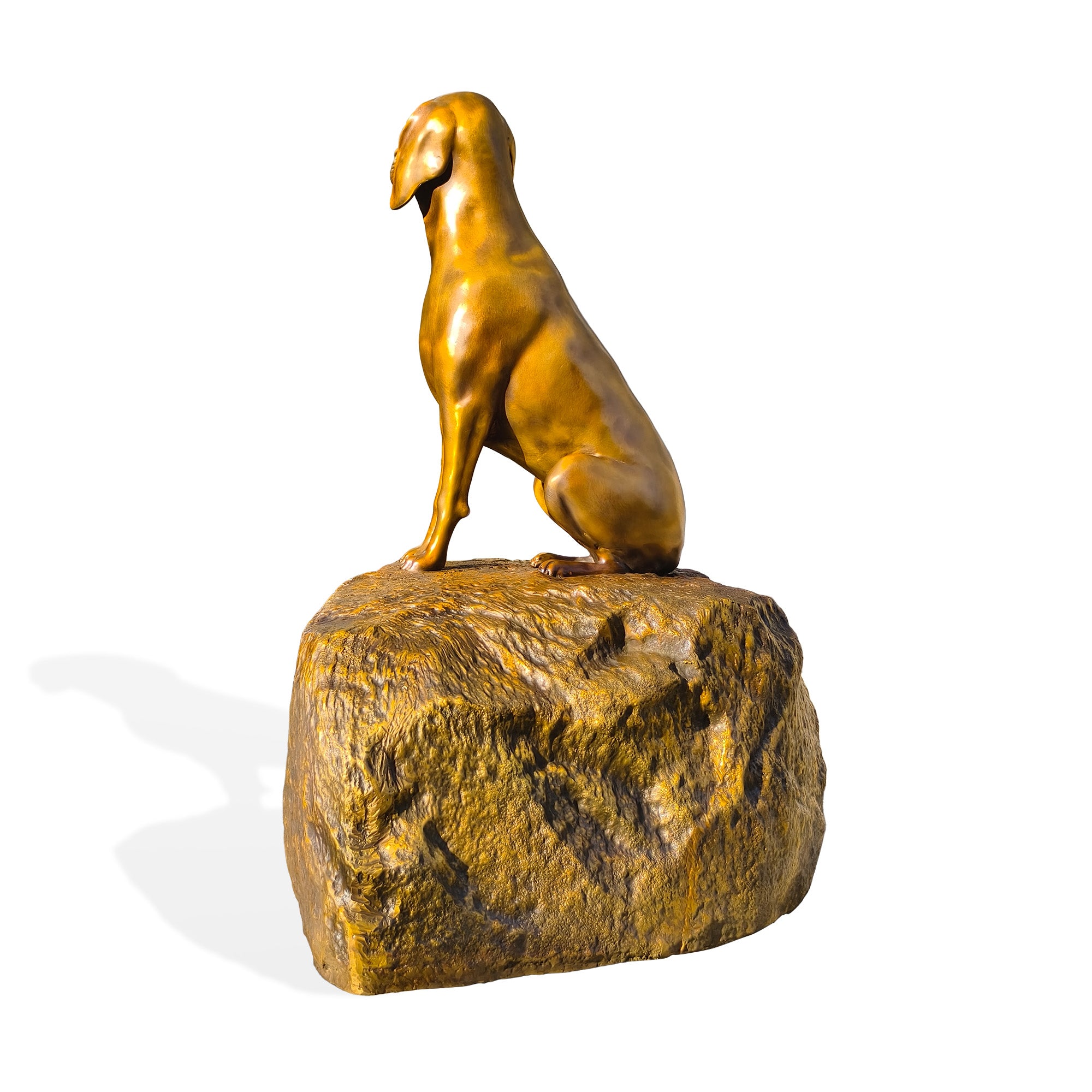 Bronze sculpture of a dog on a rock with a white background