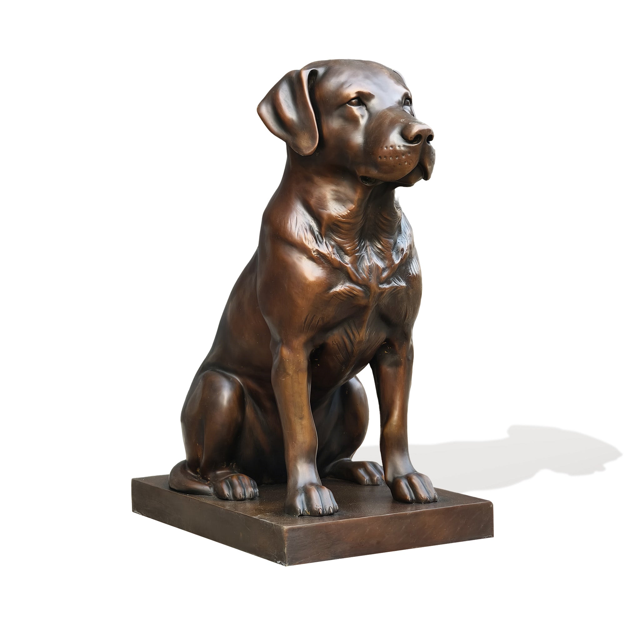Custom bronze Labrador Retriever dog statue in a sitting pose with realistic facial details for outdoor garden and pet memorial decor