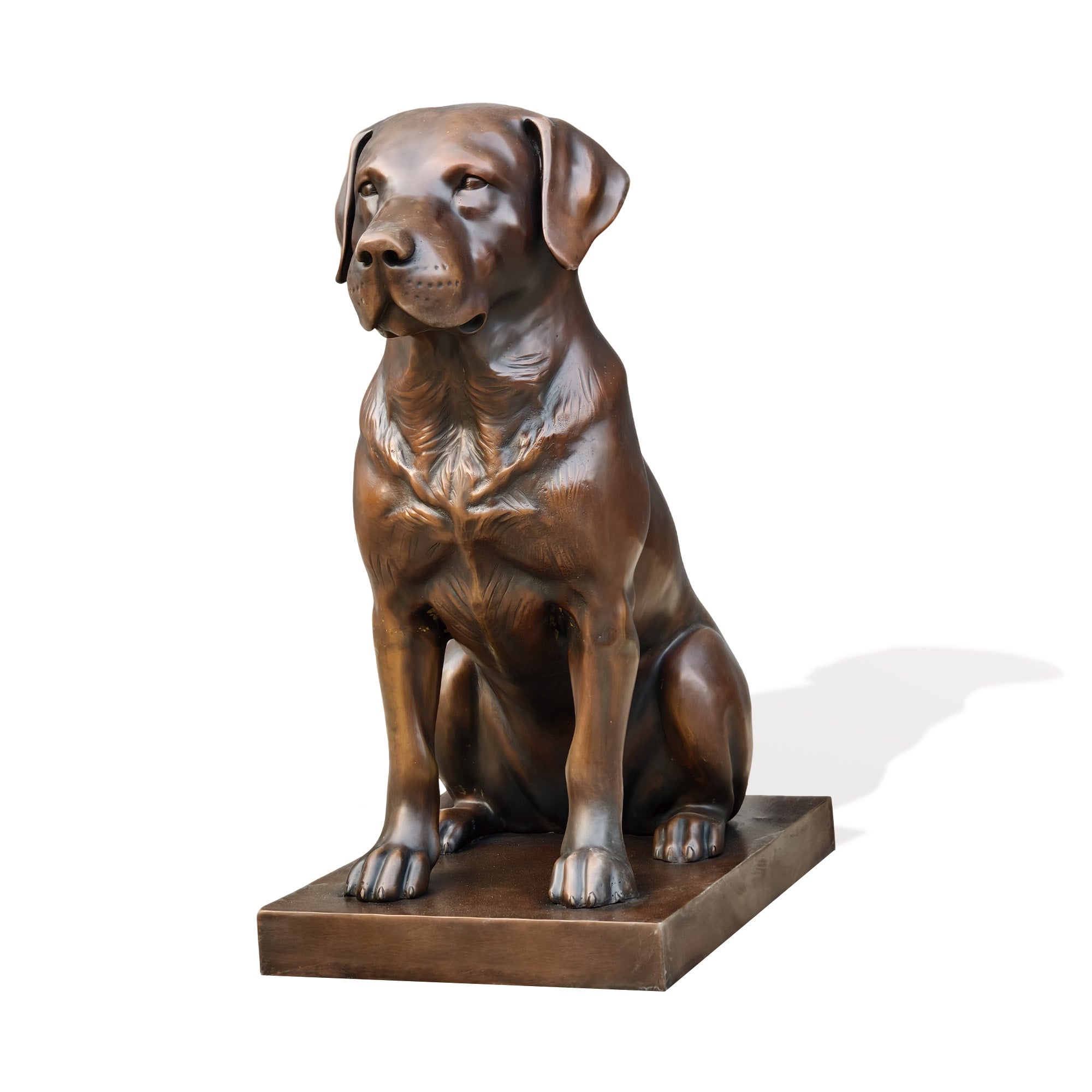 Life size bronze Labrador Retriever statue sitting on a square base with realistic fur texture and loyal expression