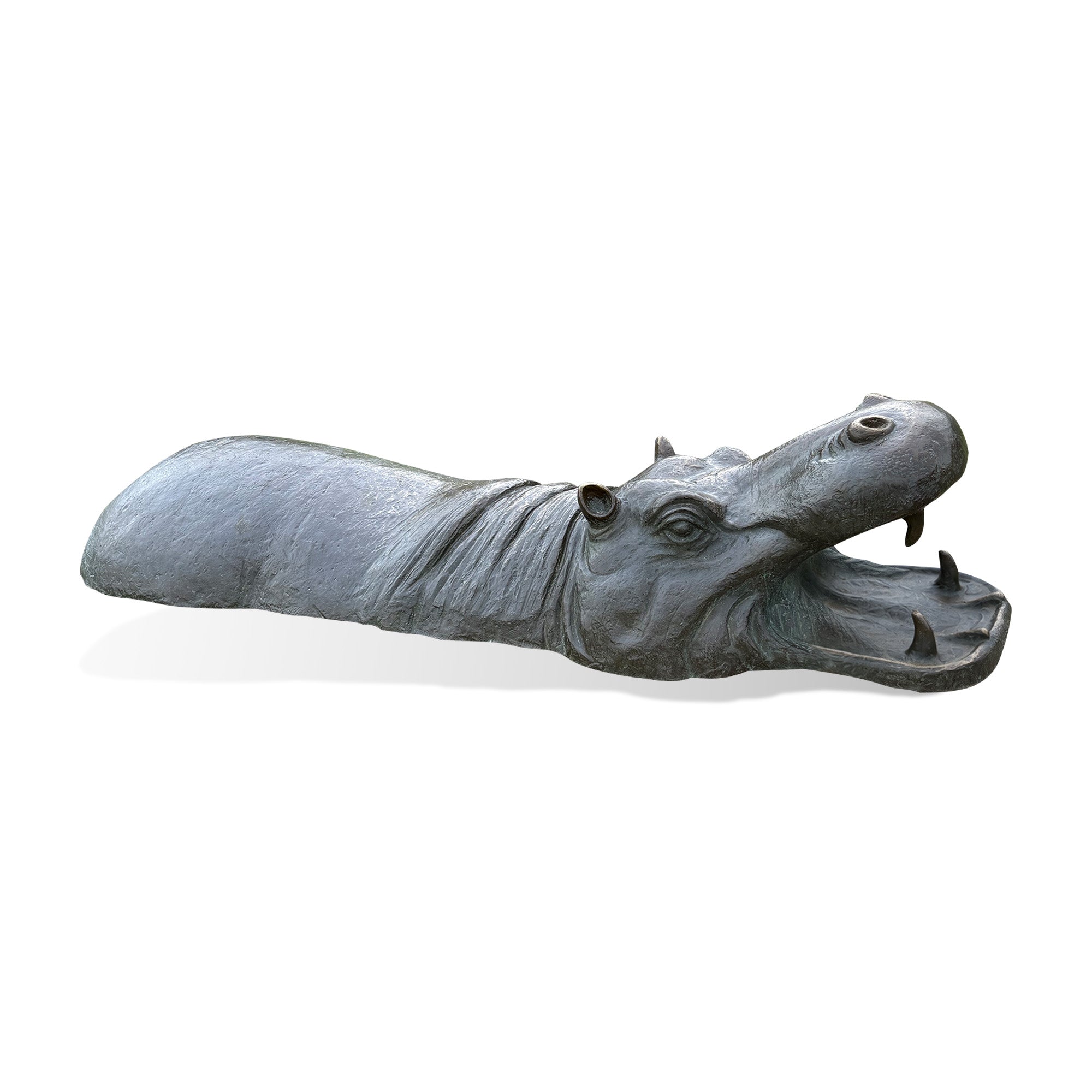 A bronze open mouth hippopotamus sculpture with visible tusks, raised ears, expressive eyes, textured skin, and a partially submerged body