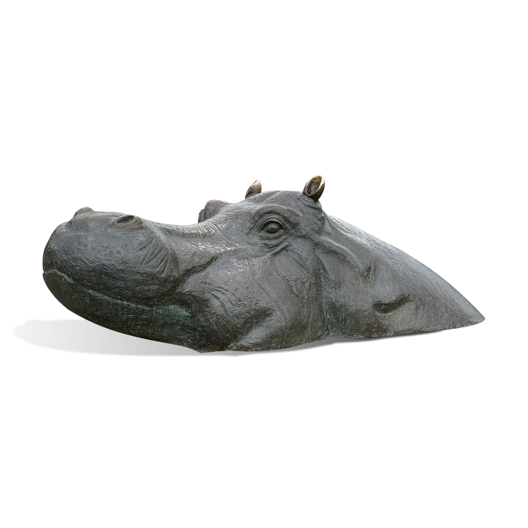 Front three-quarter view of a bronze hippopotamus sculpture with a closed mouth, rounded snout, raised eyes, small ears, textured skin, and low partially submerged body