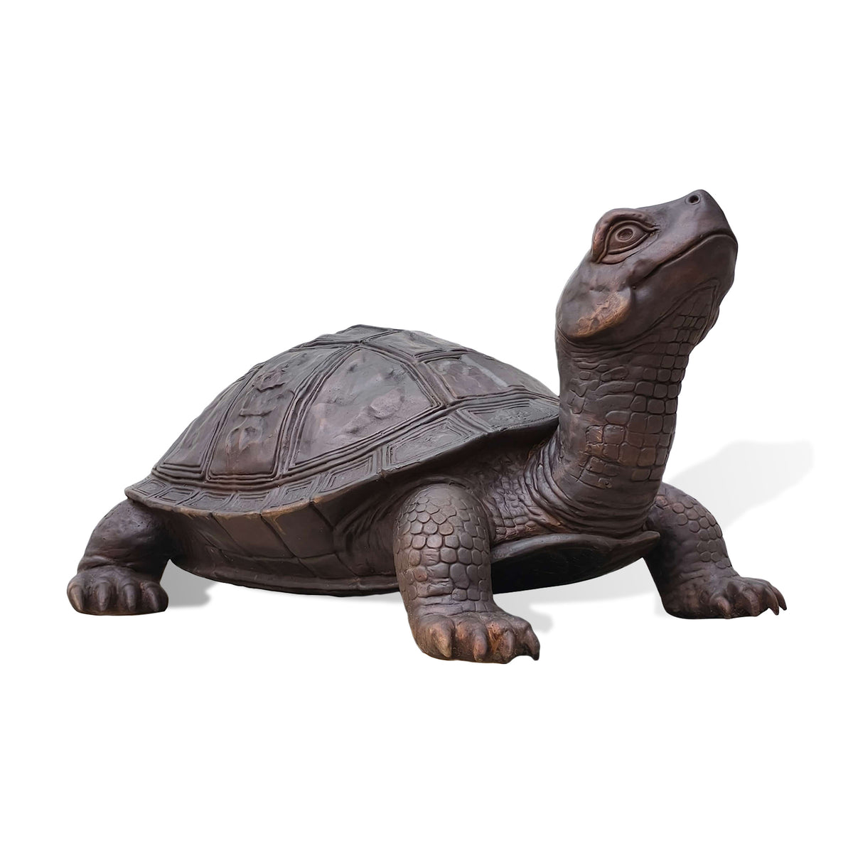 Dark antique bronze turtle sculpture with raised head, detailed patterned shell and textured legs, designed as decorative animal art for indoor display