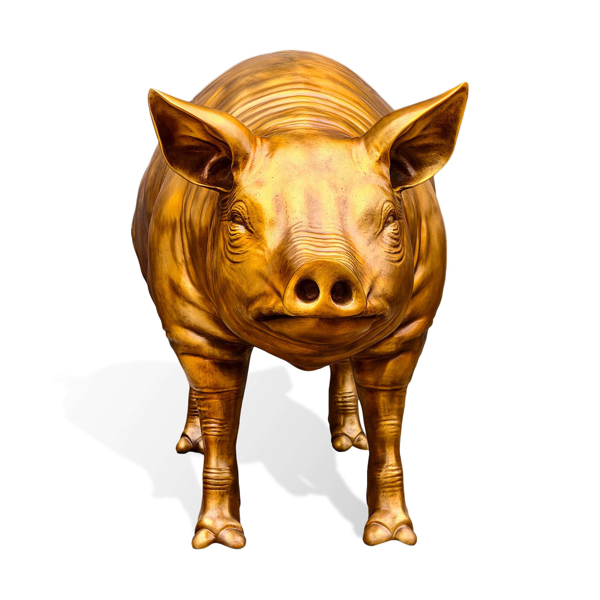 Front view of a golden bronze boar statue showing detailed facial features, large ears, sculpted snout, polished metallic surface, and handcrafted wildlife artwork.