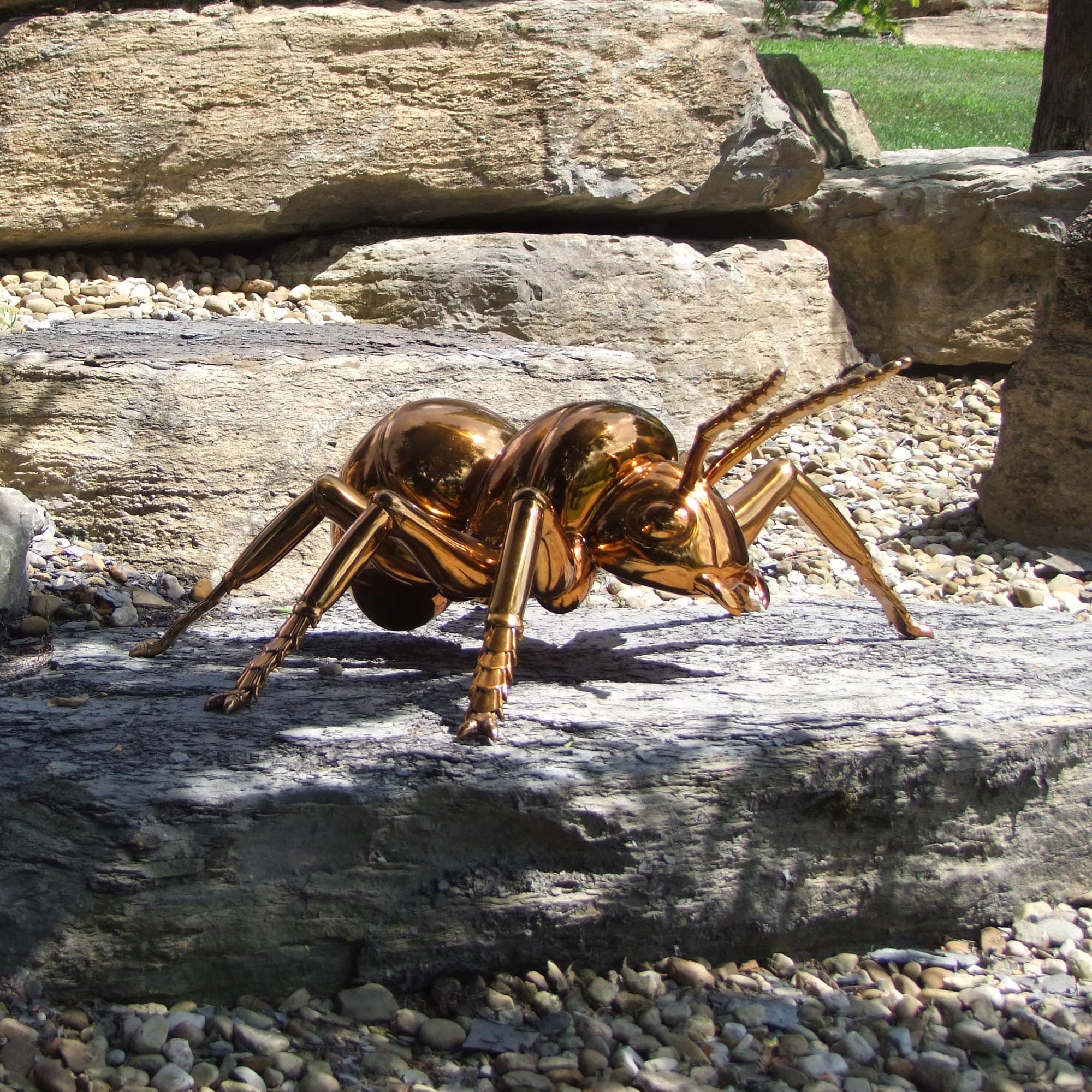 Bronze sculpture of a spider on a rock with natural background