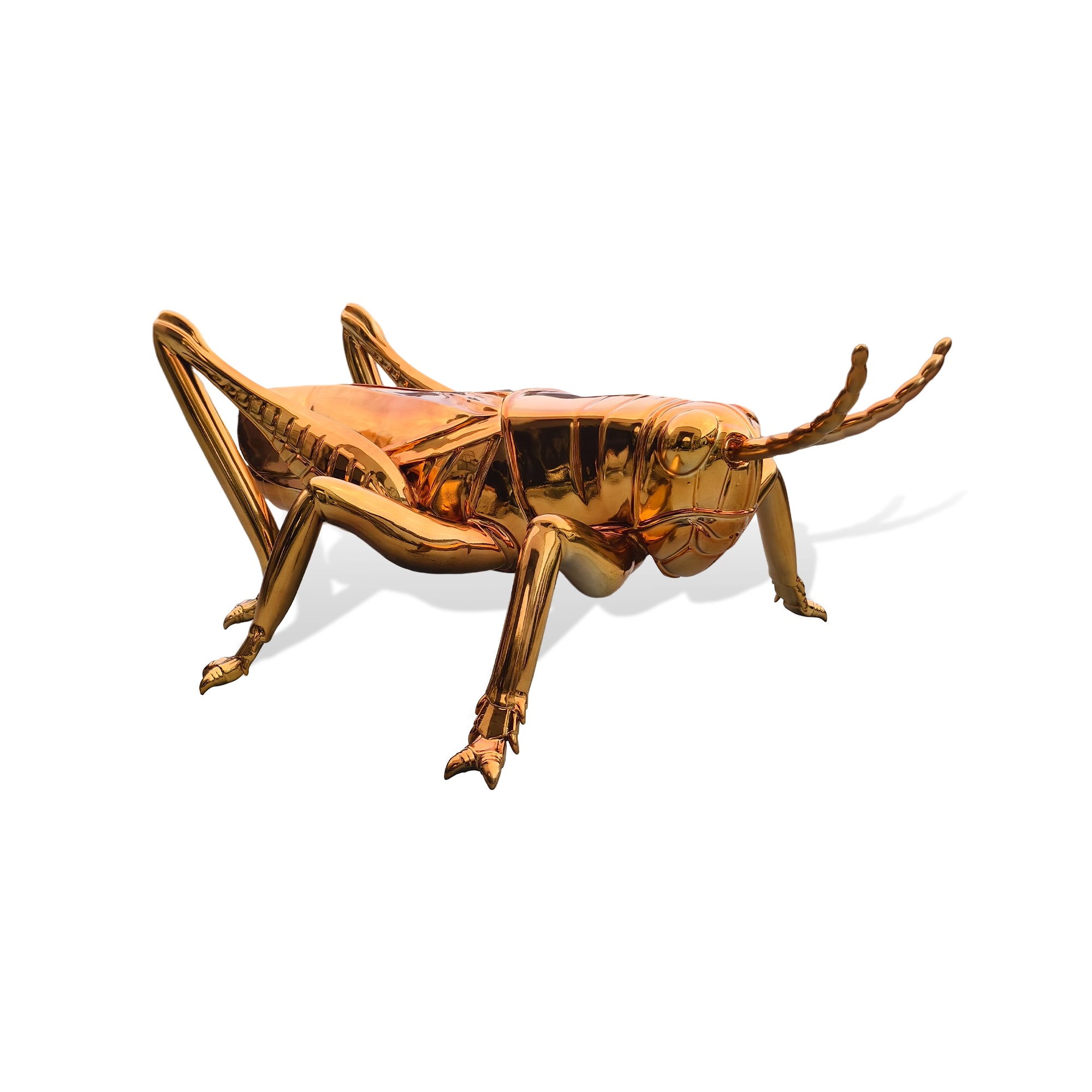 Gold grasshopper sculpture on a white background