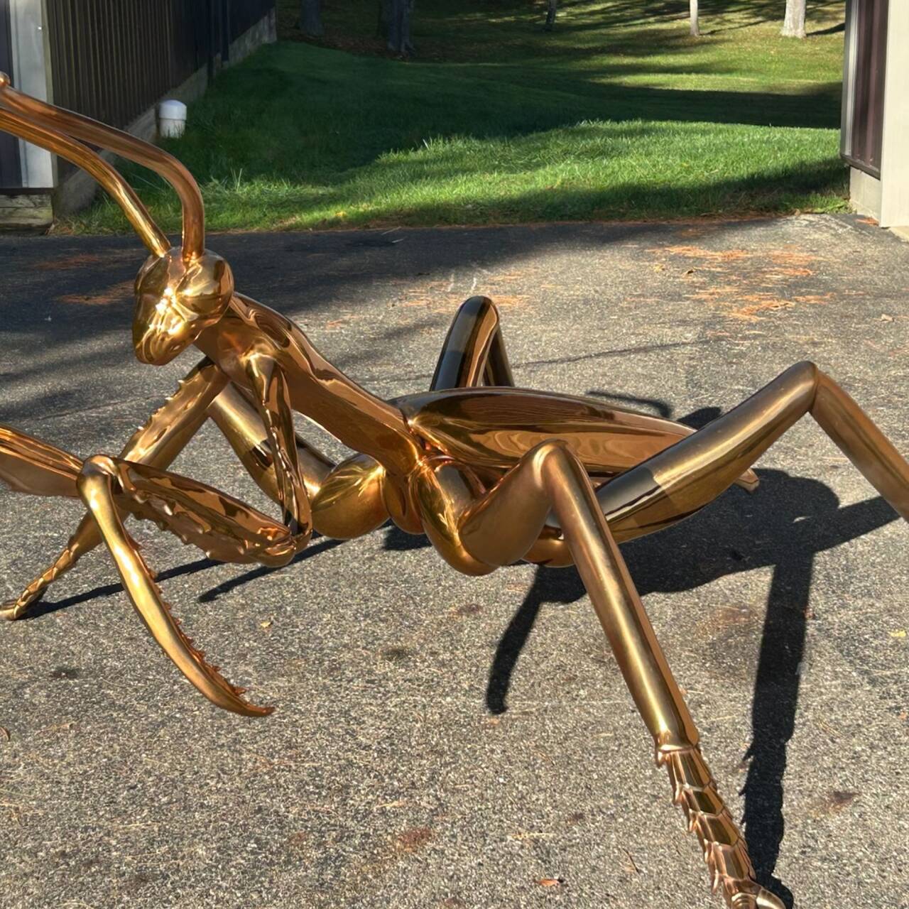 Stainless steel mantis sculpture featuring a brass electroplated mirror finish, commissioned for Schnormeier Gardens in Gambier, Ohio, reflecting surrounding trees and outdoor environment