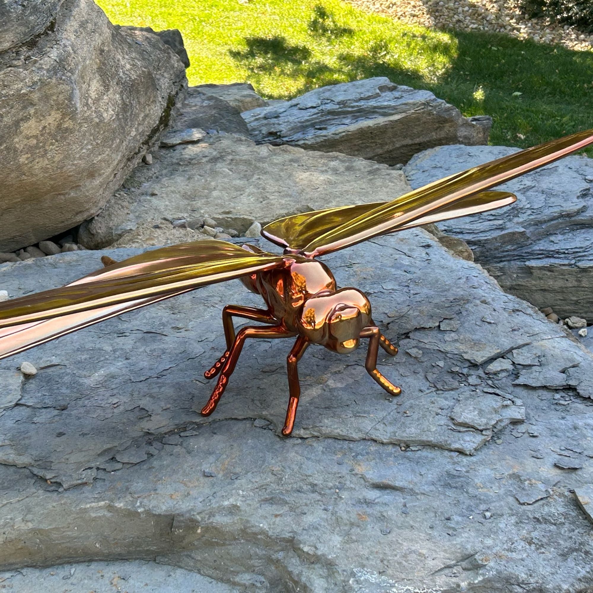 Custom stainless steel dragonfly sculpture with brass electroplated mirror finish, created specifically for Schnormeier Gardens in Gambier, Ohio, displayed on natural stone within the garden landscape