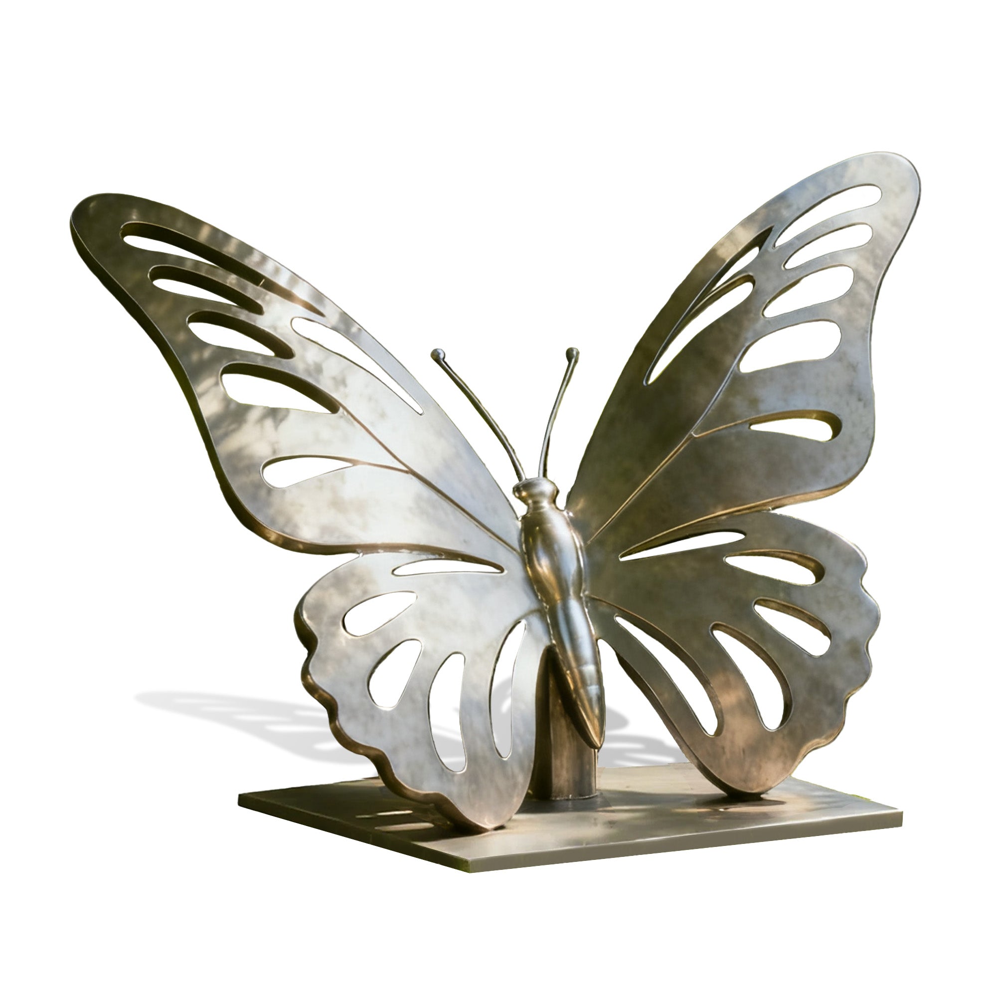 hairline stainless steel butterfly sculpture on white background, showing softly rounded wings and subtle cut-out patterns