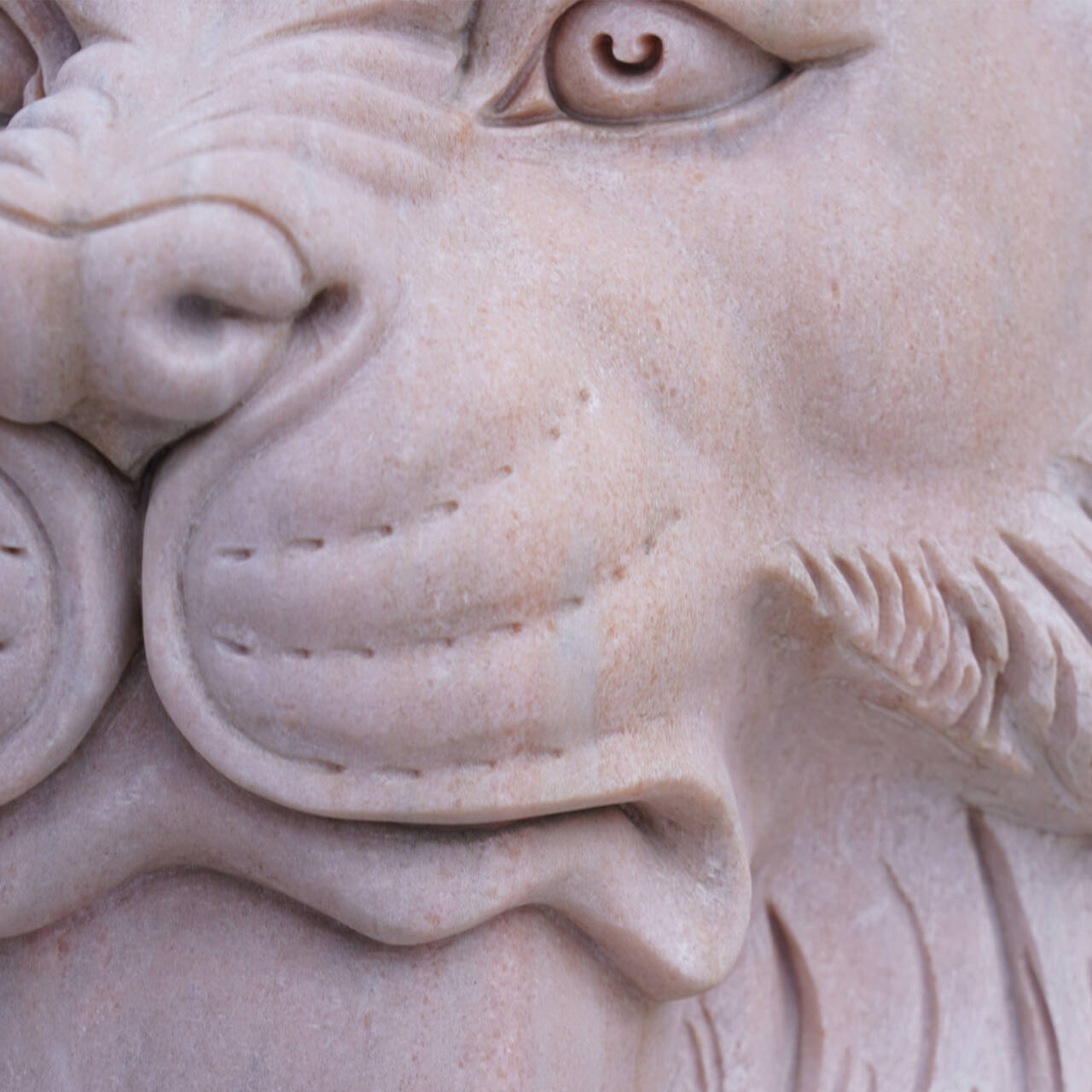 Close-up of detailed lion face sculpture, showcasing intricate facial features and textures in pink marble.