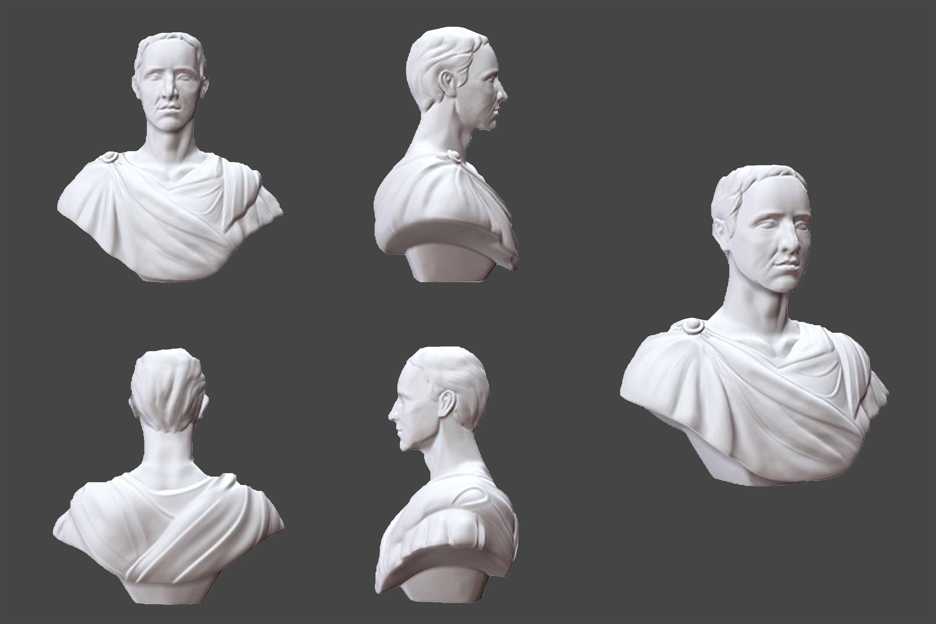 brozne sculpture 3D drawing for Catullus Bust Sculpture